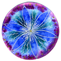 COL Blue Star Flower