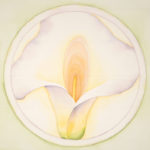 White Calla, 7/20/01, 2:50 PM,  8C, 3559x3596 (90+832), 100%, Copy work star,  1/30 s, R62.5, G61.2, B97.1